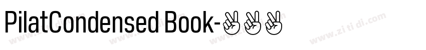 PilatCondensed Book字体转换